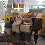 IMG_20231018_071316_1