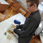 IMG_20240528_085141_1