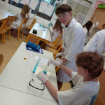 IMG_20240528_085403_1