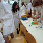 IMG_20240528_090743_1