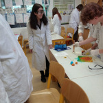 IMG_20240528_090745_1