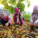 IMG_20211021_113153