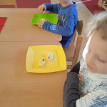 IMG_20211220_092443_1